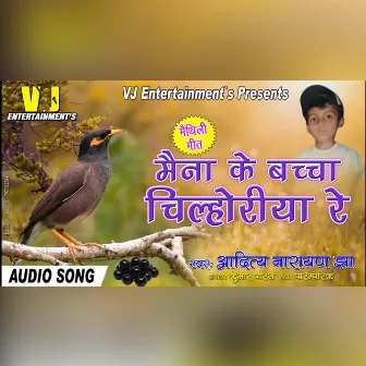 Maina Ke Bachcha (Maithili Song) by Aditya Narayan