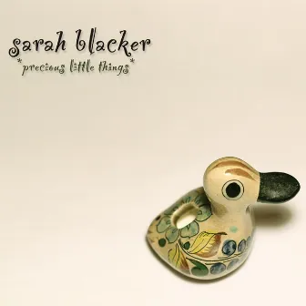 Precious Little Things by Sarah Blacker