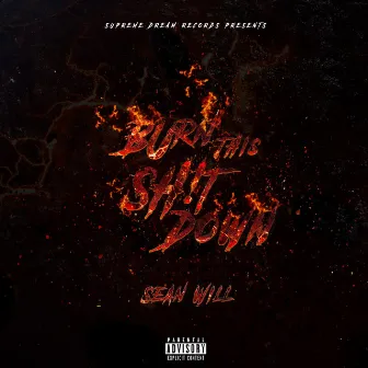 Burn This Sh!t Down by Sean Will