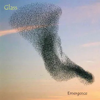 Emergence by Glass