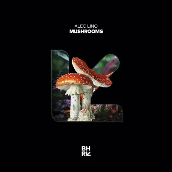 Mushrooms by Alec Lino