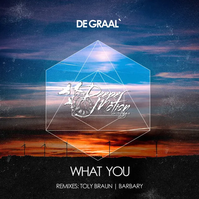 What You - Barbary Remix