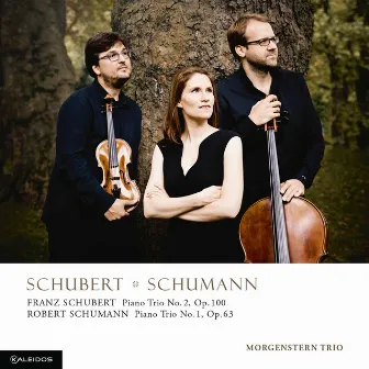 Schubert: Piano Trio No. 2 in E-Flat Major, Op. 100 - Schumann: Piano Trio No. 1 in D Minor, Op. 63 by Morgenstern Trio