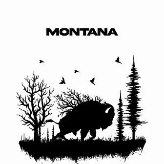 Montana by Alessandro Conti