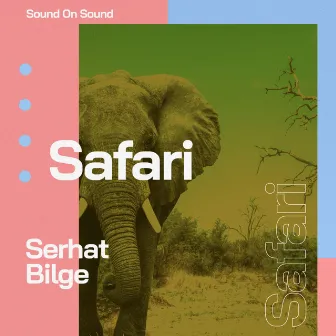 Safari by Serhat Bilge