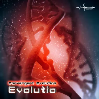 Evolutio by Convergent Evolution