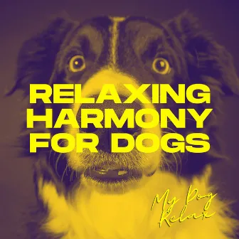 Relaxing Harmony for Dogs: Tranquil Music for Pups and Adult Dogs by My Dog Relax