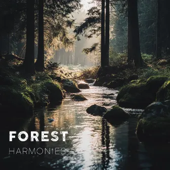 Forest Harmonies for Calm by #Rain #Sound by Cloud Bed