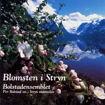 Blomsten I Stryn by Bolstadensemblet