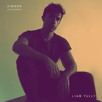 Simmer (Stripped) by Liam Tully