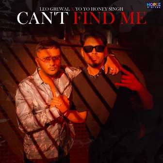 Can't Find Me by Leo Grewal