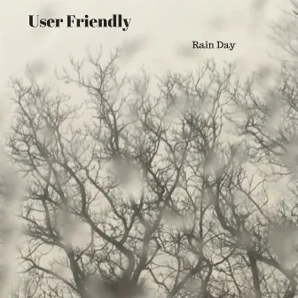 Rain Day - Single by User Friendly