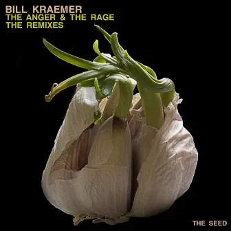 The Anger & The Rage The Remixes by Bill Kraemer