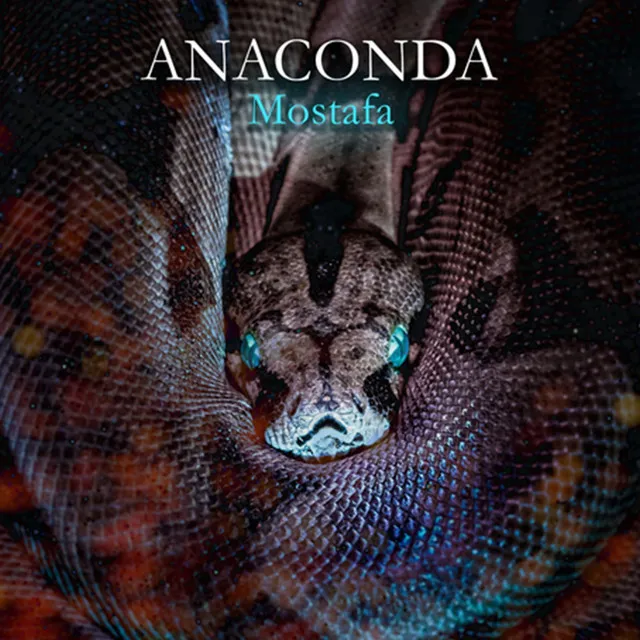 Anaconda