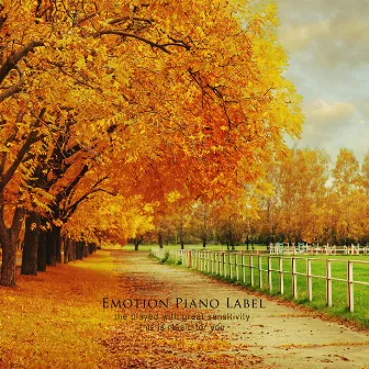 In this beautiful fall by White Star