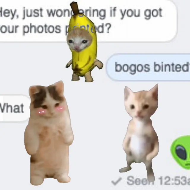 bogos binted ⊹₊⟡⋆ d(-__-)b ⭑☆ ᓚ₍ ^. .^₎