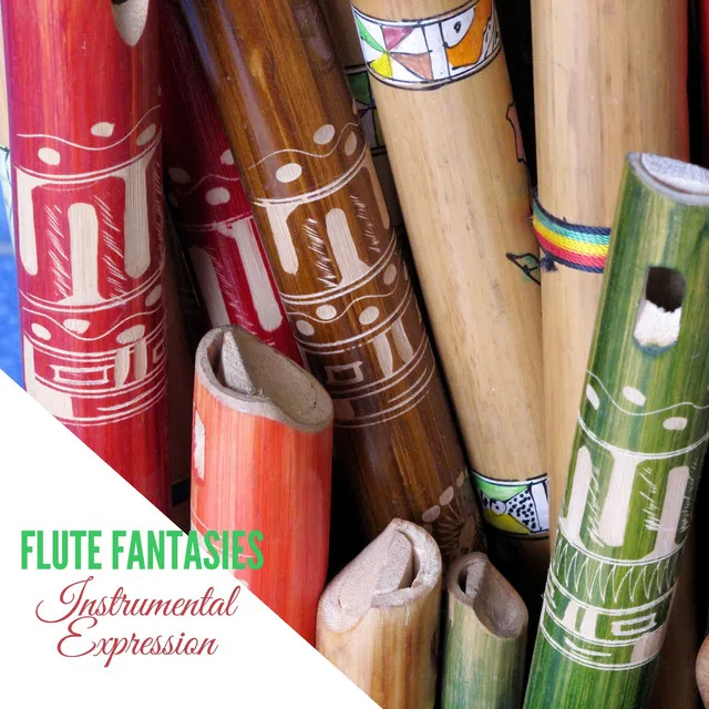 Flute Fantasies: Instrumental Expression