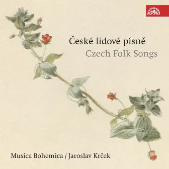 Czech Folk Songs by Musica Bohemica