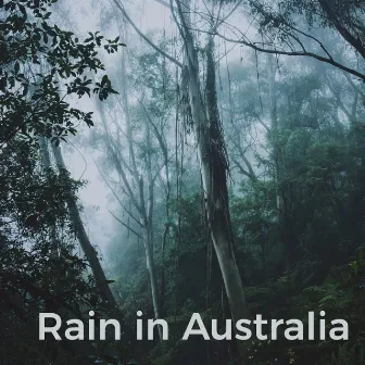 Rain in Australia by Trickling Water Soundscape