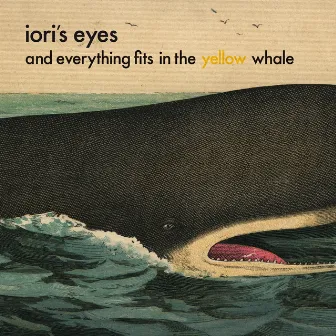 And Everything Fits in the Yellow Whale by Iori's Eyes