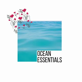 Ocean Essentials by Blue Ocean Music Project