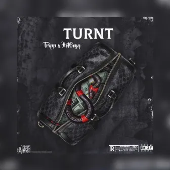 Turnt by Cush Gang Ent.