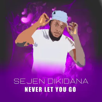 NEVER LET YOU GO by Sejen Dikidana