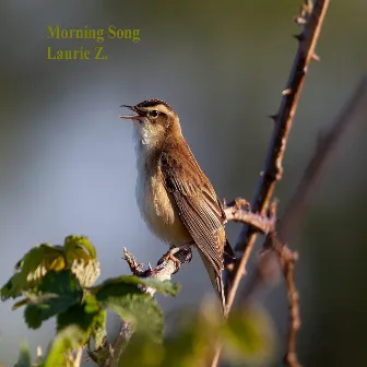 Morning Song by Laurie Z.