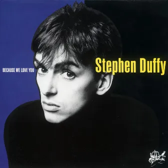 Because We Love You by Stephen Duffy