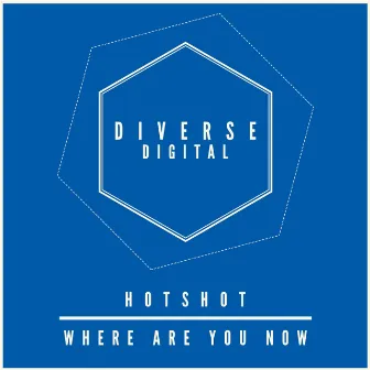 Where Are You Now by HotShot