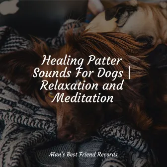 Healing Patter Sounds For Dogs | Relaxation and Meditation by 