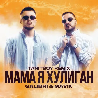 Мама я хулиган (Tanitsoy Remix) by Tanitsoy