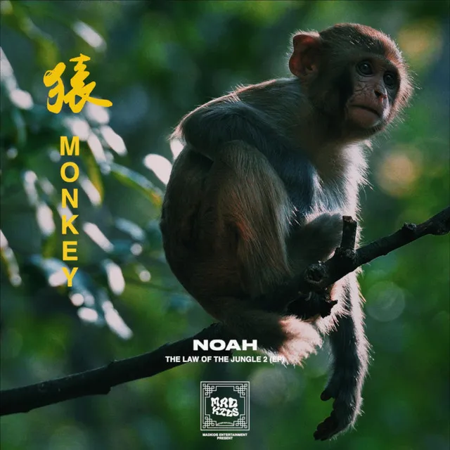 MONKEY (猿)