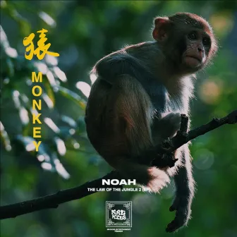 MONKEY (猿) by NOAH MADKIDS