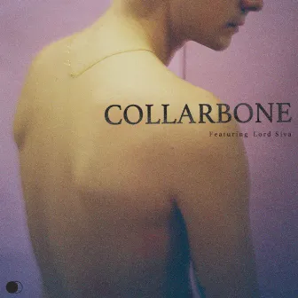 Collarbone by School of X