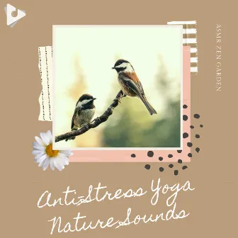 Anti-Stress Yoga Nature Sounds by Positive Energy