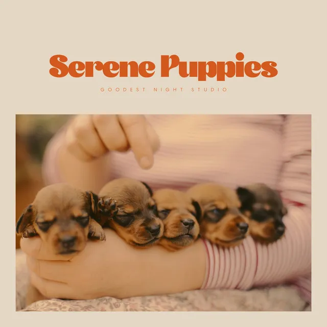 Serene Puppies