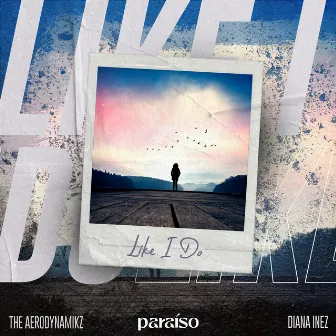 Like I Do by The Aerodynamikz