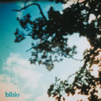 Fi by Bibio