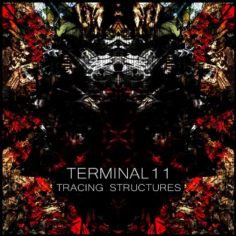 Tracing Structures by Terminal 11