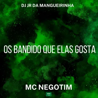 Os Bandido Que Elas Gosta by MC Negotim