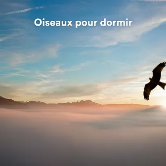 Oiseaux pour dormir (Sons d'oiseaux pour relaxation) by Nature Bird Sounds