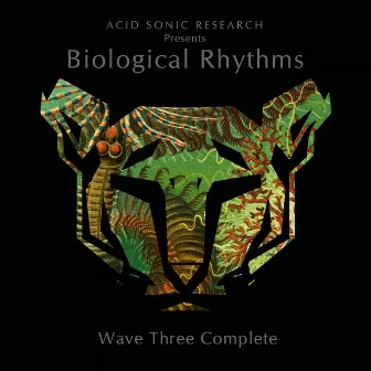 Biological Rhythms: Wave Three Complete by Kataconda