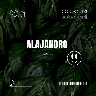 Alajandro by Unknown Artist