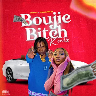 Boujie Bitch (Remix) by Qwella