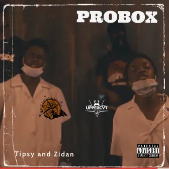 Probox by Zidan