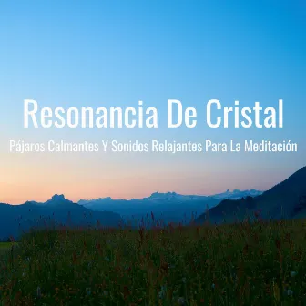 Resonancia De Cristal: Pájaros Calmantes Y Sonidos Relajantes Para La Meditación by Los Pájaros Cantores