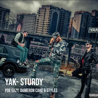 Yak- Sturdy by Dameron Cake