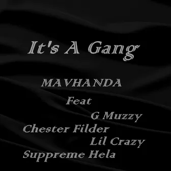 Mavhanda by It's a Gang