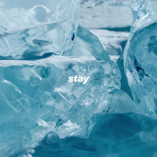 stay